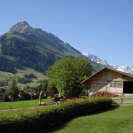 Studio Elsighorn Appartamento Frutigen Esterno foto